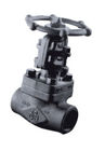 API 602 forged steel valve globe valve  F11  F22 LF2 PSB WB BB  SW BW NPT-F