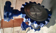Lug Type Style API609 Butterfly Valve F51 Seat EPDM Gear Operate High Temperature