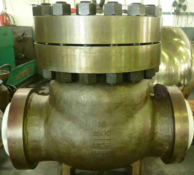 SS API6D SWING High Pressure Check Valve 600 LB 1500 LB 2500 LB WC9 WC6