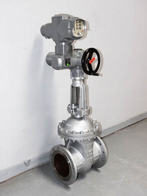 Cryogenic Full Port Globe Valve Extension Stem PTFE RPTFE Seat Alloy