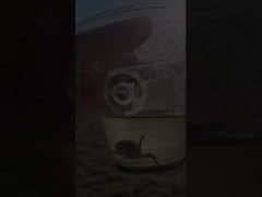 50mm 400mm 300mm Carbon Steel Flanged Ventilation Butterfly Valve