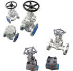 API602  FORGED STEEL VALVE Gate valve F304 F316 F321 STAINLESS STEEL 800# 1500# BW SW NPT ENDS