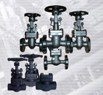 API 602 forged steel valve cryogenic GATE VALVE BB WB PSB LF2 F316 INCONEL 625 F51 F91 BW SW ENDS