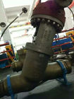 600LB Y Type Globe Valve , Gear Operated Globe Valve 316 DISC OS &amp; Y Construction