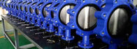 PTFE Lined Centric Butterfly Valve Self Lubricated Shaft Bear ATEX Wafer Type Butterfly Valve