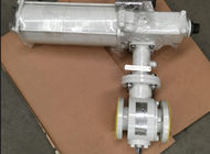 F316 150 LB Cryogenic Ball Valve With Extension Bonnet Body , Seat Delvon