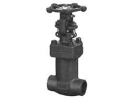 Cryogenic Globe Forged Steel Valve Reduced Bore LF2  LF3 ISO 15848 LNG
