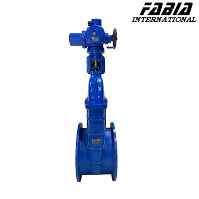 Cast Iron Soft Seal Flange Elastic Seat Switch Valve Hand Electric Gate Valve