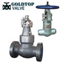 Flanged Ends CF3M BS1873 Globe Valve Electric Actuated