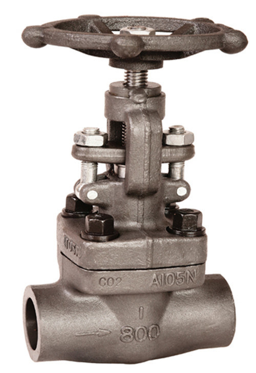 Screwed Socket Weld Valve Renewable Seat Spiral Wound Graphite Globe