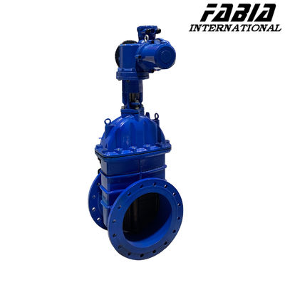 Cast Iron Soft Seal Flange Elastic Seat Switch Valve Hand Electric Gate Valve